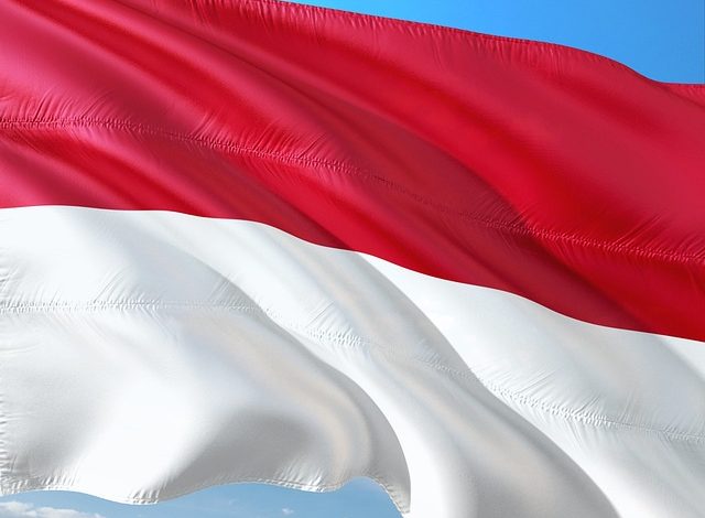 pemerintah indonesia